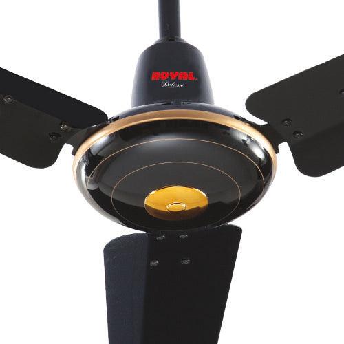 Royal Deluxe Ceiling Fan - Brighto Fans