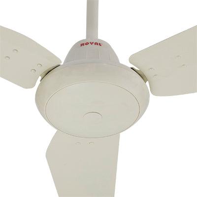 Royal Opal Ceiling Fan - Brighto Fans