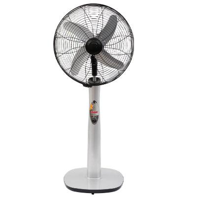 Royal Unique Pedestal Stand Fan - Brighto Fans