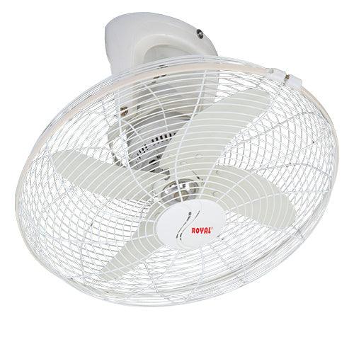 Royal Plastic Circomatic Fan - Brighto Fans