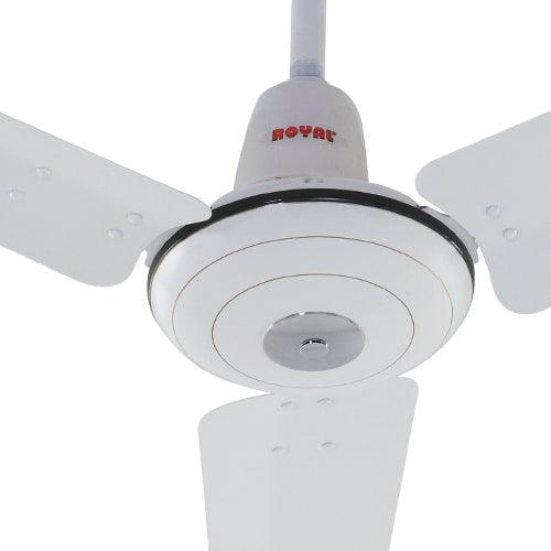 Royal Deluxe Ceiling Fan - Brighto Fans