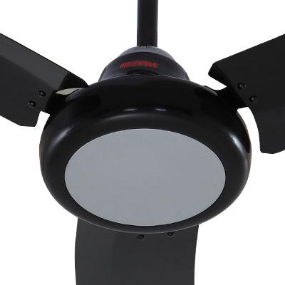 Royal Galant Ceiling Fan - Brighto Fans