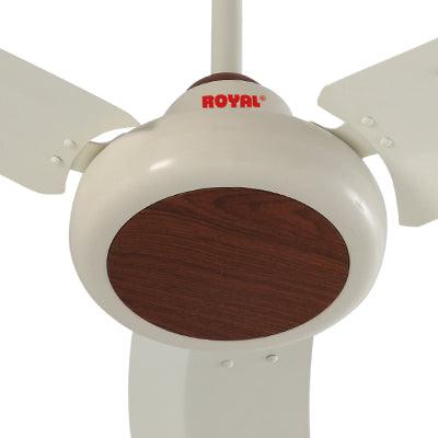 Royal Galant Ceiling Fan - Brighto Fans