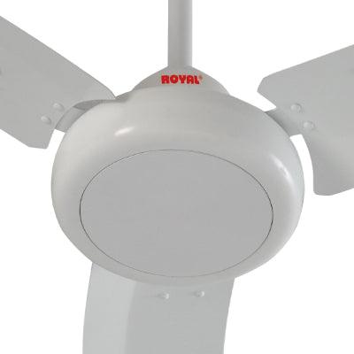 Royal Galant Ceiling Fan - Brighto Fans