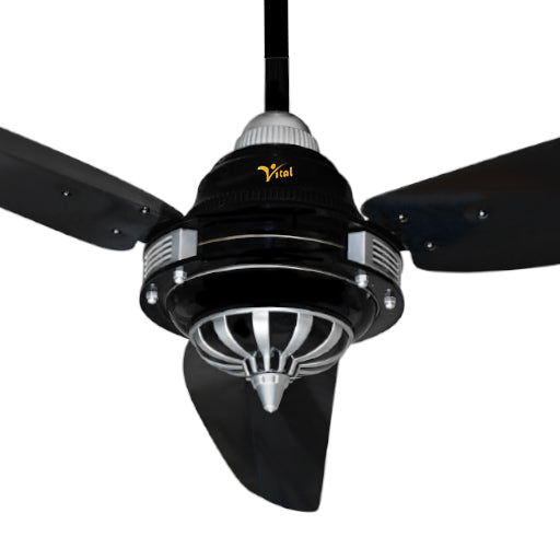 Vital Antique AC/DC R.F Inverter Ceiling Fan