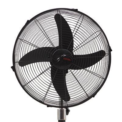 Royal Magnum Black Pedestal Fan - Brighto Fans