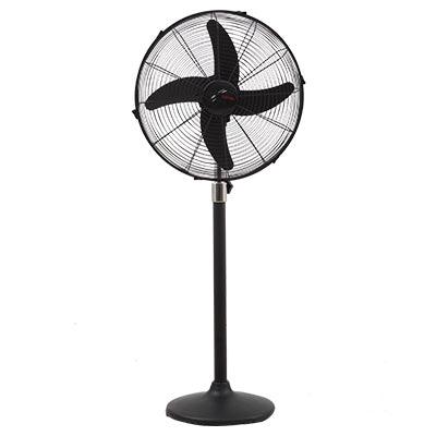 Royal Magnum Black Pedestal Fan - Brighto Fans