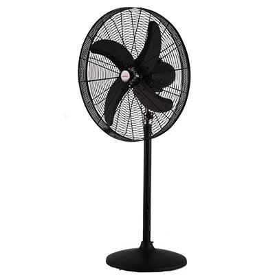 Royal Deluxe Pedestal Fans - Brighto Fans