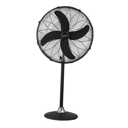 Pedestal Deluxe AC/DC Fan