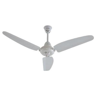 Royal Regal Ceiling Fan - Brighto Fans