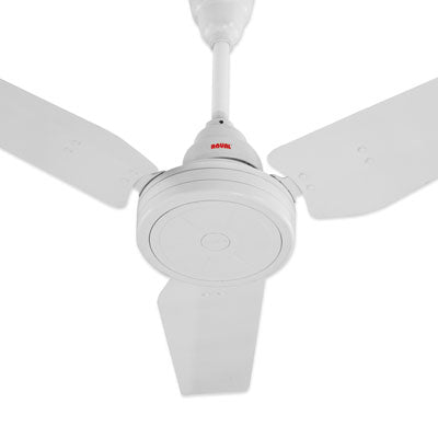 Royal Lifestyle Ceiling Fans (RL-050) - Brighto Fans