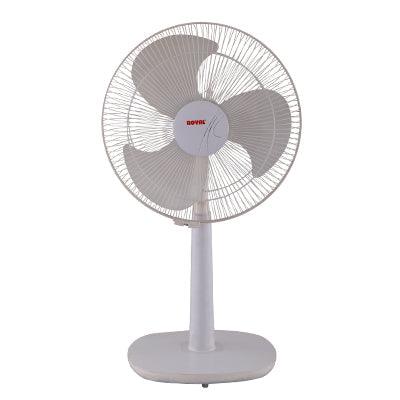 Royal Glamour TCP Fan - Brighto Fans