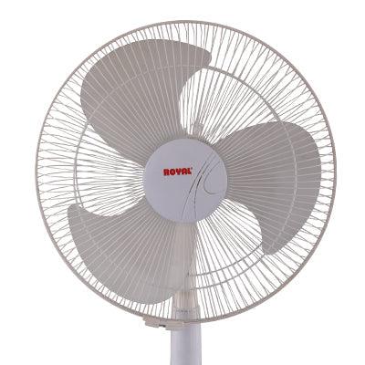 Royal Glamour TCP Fan - Brighto Fans