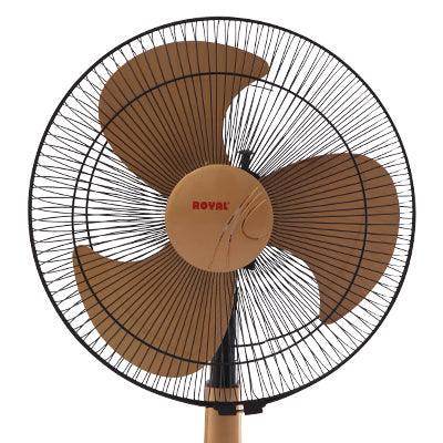 Royal Glamour TCP Fan - Brighto Fans