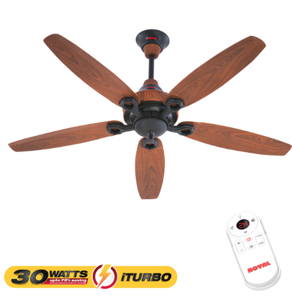 Royal iTurbo 30 Watts Fan (Ornament)