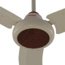 Royal Galant Ceiling Fan - CHARM - Brighto Fans